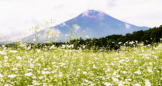 山梨県甲府市