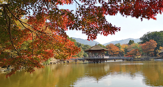 奈良県葛城市