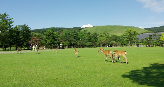 奈良県葛城市